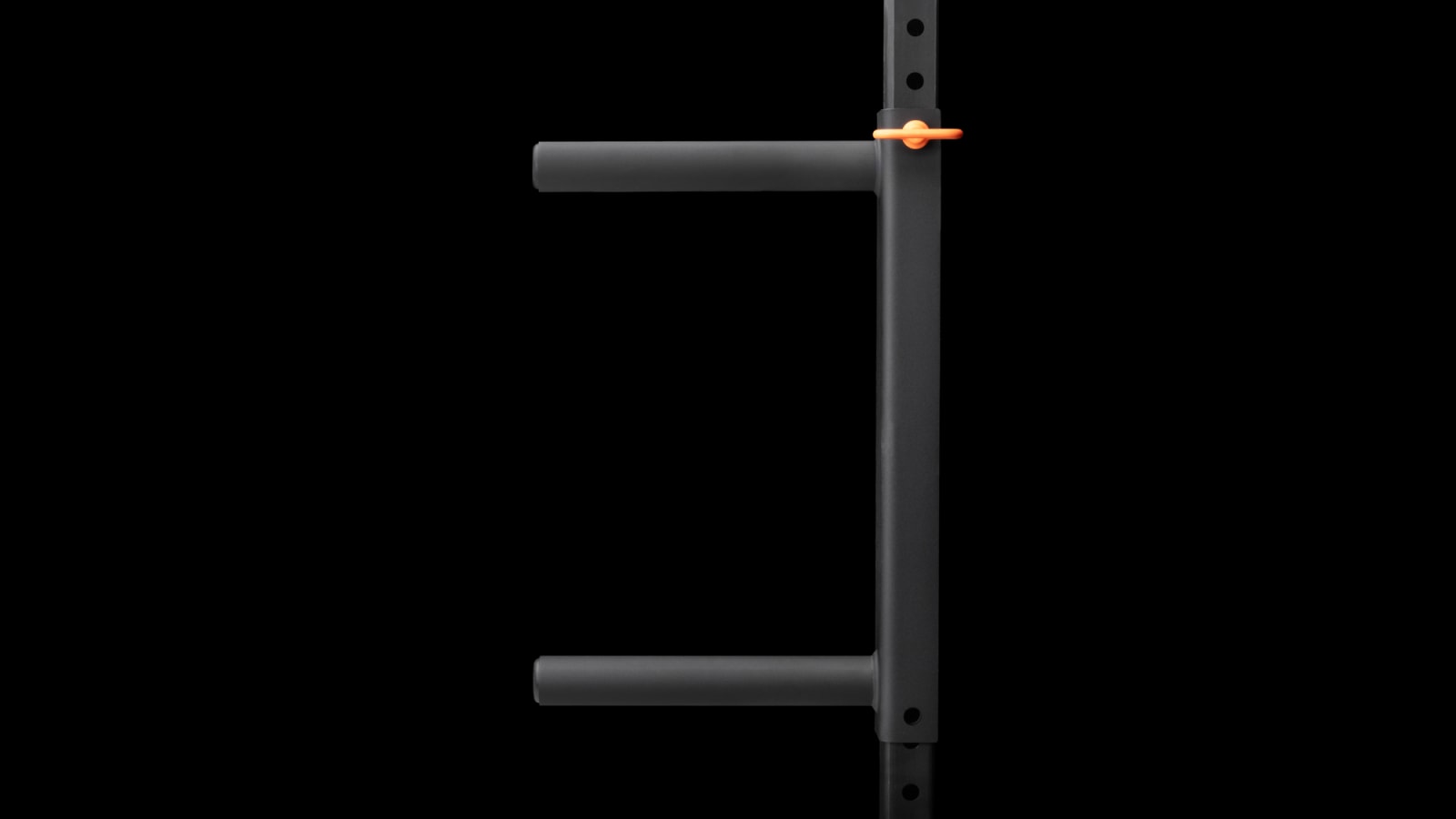 Rogue Infinity Vertical Plate Storage